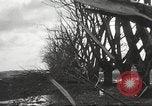 Immagine di Cyclone Elgin Illinois USA, 1933, secondo 59 filmato di repertorio 65675066023