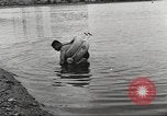 Standbild schwimmen Rohr Long Beach California USA, 1933, aus Sekunde 53 historischem Filmmaterial Videoclip 65675066030