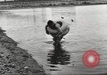 Standbild schwimmen Rohr Long Beach California USA, 1933, aus Sekunde 59 historischem Filmmaterial Videoclip 65675066030