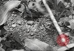 Standbild 128 Jahre alte Frau Delhi California USA, 1933, aus Sekunde 25 historischem Filmmaterial Videoclip 65675066032