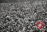 Image Charles Lindbergh Washington DC USA, 1927, de la seconde 60 séquences d'archives historiques vidéo 65675066043