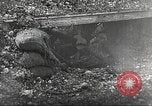 Image British Film sur la guerre des tranchées France, 1916, de la seconde 7 séquences d'archives historiques vidéo 65675066049