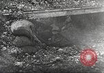 Image British Film sur la guerre des tranchées France, 1916, de la seconde 8 séquences d'archives historiques vidéo 65675066049