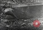Image British Film sur la guerre des tranchées France, 1916, de la seconde 11 séquences d'archives historiques vidéo 65675066049