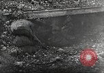 Image British Film sur la guerre des tranchées France, 1916, de la seconde 12 séquences d'archives historiques vidéo 65675066049