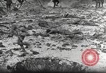 Image British Film sur la guerre des tranchées France, 1916, de la seconde 21 séquences d'archives historiques vidéo 65675066049