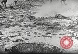 Image British Film sur la guerre des tranchées France, 1916, de la seconde 24 séquences d'archives historiques vidéo 65675066049