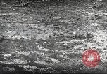 Image British Film sur la guerre des tranchées France, 1916, de la seconde 62 séquences d'archives historiques vidéo 65675066049
