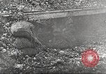 Image of British and French soldier advancing France, 1916, second 48 stock footage video 65675066050