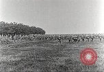 Immagine di Soldati alleati Francia, 1916, secondo 21 filmato di repertorio 65675066056