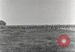 Immagine di Soldati alleati Francia, 1916, secondo 46 filmato di repertorio 65675066056
