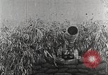 Immagine di Belga truppe lotta contro le forze tedesche nella prima guerra mondiale Belgio, 1914, secondo 5 filmato di repertorio 65675066057
