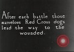 Image of German Red Cross dogs France, 1916, second 1 stock footage video 65675066059