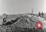 Image of German Red Cross dogs France, 1916, second 5 stock footage video 65675066059