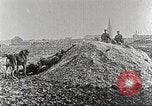 Image of German Red Cross dogs France, 1916, second 7 stock footage video 65675066059