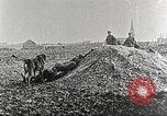 Image of German Red Cross dogs France, 1916, second 8 stock footage video 65675066059