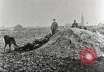 Image of German Red Cross dogs France, 1916, second 9 stock footage video 65675066059
