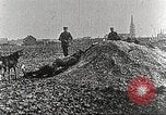 Image of German Red Cross dogs France, 1916, second 10 stock footage video 65675066059