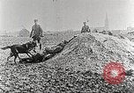 Image of German Red Cross dogs France, 1916, second 11 stock footage video 65675066059