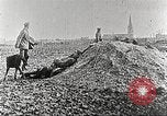 Image of German Red Cross dogs France, 1916, second 12 stock footage video 65675066059