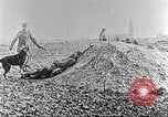 Image of German Red Cross dogs France, 1916, second 13 stock footage video 65675066059