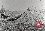 Image of German Red Cross dogs France, 1916, second 14 stock footage video 65675066059