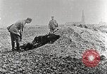 Image of German Red Cross dogs France, 1916, second 15 stock footage video 65675066059