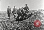 Image of German Red Cross dogs France, 1916, second 19 stock footage video 65675066059