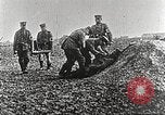 Image of German Red Cross dogs France, 1916, second 20 stock footage video 65675066059