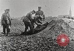 Image of German Red Cross dogs France, 1916, second 22 stock footage video 65675066059