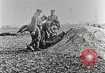 Image of German Red Cross dogs France, 1916, second 24 stock footage video 65675066059
