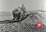 Image of German Red Cross dogs France, 1916, second 25 stock footage video 65675066059