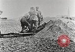 Image of German Red Cross dogs France, 1916, second 26 stock footage video 65675066059