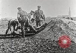Image of German Red Cross dogs France, 1916, second 27 stock footage video 65675066059