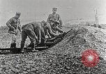 Image of German Red Cross dogs France, 1916, second 29 stock footage video 65675066059
