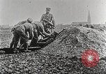 Image of German Red Cross dogs France, 1916, second 30 stock footage video 65675066059