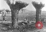 Image of German Red Cross dogs France, 1916, second 32 stock footage video 65675066059