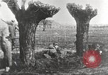 Image of German Red Cross dogs France, 1916, second 33 stock footage video 65675066059