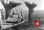 Image of German Red Cross dogs France, 1916, second 34 stock footage video 65675066059