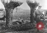 Image of German Red Cross dogs France, 1916, second 36 stock footage video 65675066059