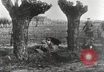 Image of German Red Cross dogs France, 1916, second 37 stock footage video 65675066059