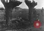 Image of German Red Cross dogs France, 1916, second 38 stock footage video 65675066059