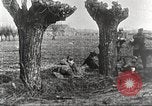 Image of German Red Cross dogs France, 1916, second 39 stock footage video 65675066059