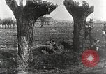 Image of German Red Cross dogs France, 1916, second 40 stock footage video 65675066059
