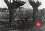 Image of German Red Cross dogs France, 1916, second 41 stock footage video 65675066059