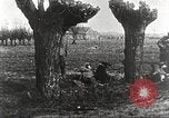Image of German Red Cross dogs France, 1916, second 42 stock footage video 65675066059