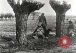 Image of German Red Cross dogs France, 1916, second 43 stock footage video 65675066059