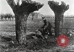 Image of German Red Cross dogs France, 1916, second 44 stock footage video 65675066059