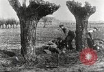 Image of German Red Cross dogs France, 1916, second 45 stock footage video 65675066059