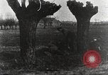 Image of German Red Cross dogs France, 1916, second 46 stock footage video 65675066059